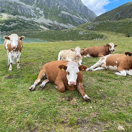 Ferienhof Bichlhof Arzl im Pitztal Quarto foto
